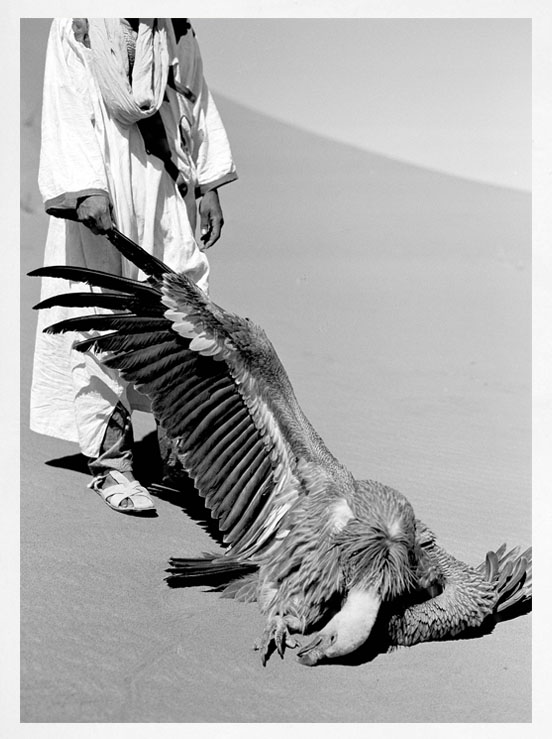 Morocco